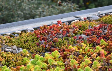 the cost of Barrow Hann green roof installation