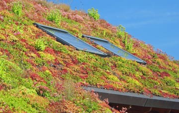 Barrow Hann living roof systems