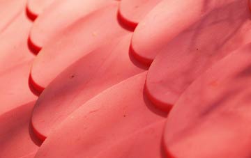 Barrow Hann plastic roof costs