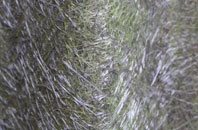 Barrow Hann fibreglass roof work